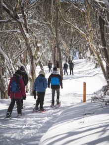 Photo courtesy of Alpine Nature Experience