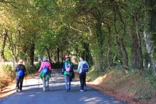 Pilgrims on the Camino de Santiago 