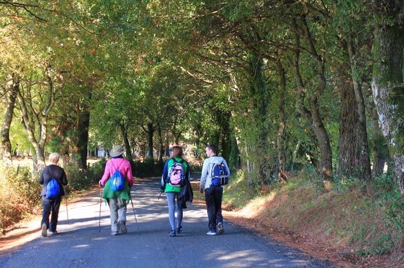 Pilgrims on the Camino de Santiago 