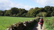 Pilgrim on the Camino de Santiago trail