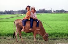 Kid's play in Vietnam