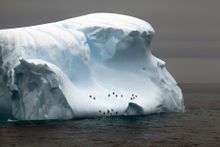 Antarctic waters