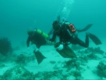 Kuramathi Clean Up 2016/17