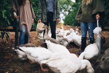 Cabin Fever Festival in Margaret River