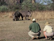 Walking safari, Matobo National Park, Zimbabwe 