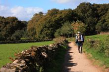 Walker on the Camino de Santiago trail in Galicia, Northern Spain