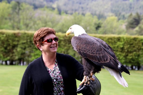 A bird in the hand: Falconry demonstration among numerous 
