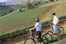Image credit: Destination NSW