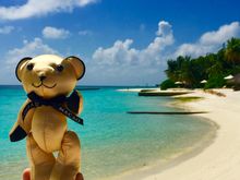       Photo caption:  Conrad Macao Facebook fans can win a fabulous hotel stay just by uploading a photo of a Conrad Macao bear on holiday around the world to their Facebook page.