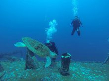 Dive SCUBA, Pensacola