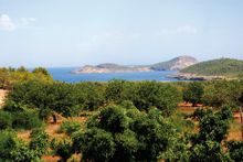 Posidonia, Formentera 