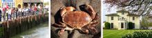 Congham Crab Crawl composite