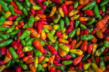 Latin America food colours