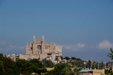 Palma 