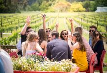 Grab your friends and make a fun day of it at Toast Martinborough, held in the charming wine village of Martinborough each November.