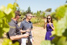 Vineyard tour and blending class at Meadowcroft Winery in Sonoma County's Carneros AVA.