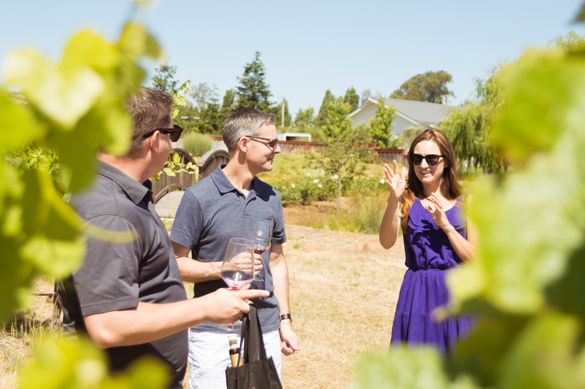 Vineyard tour and blending class at Meadowcroft Winery in Sonoma County's Carneros AVA.