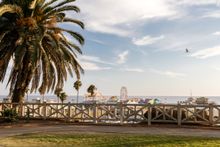 Palisades Park