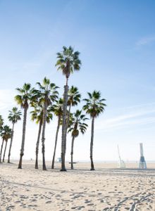 Santa Monica State Beach