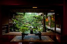 Japanese Garden