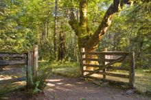 Barlow Road Tollgate, part of the last leg of the Oregon Trail