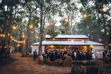 Feast in the Forest