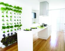 Minigarden
