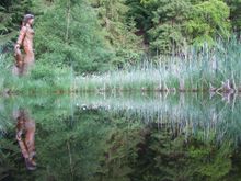 Frau Holle Teich im Sommer