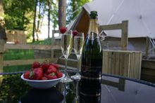 Dundas Glamping 