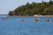 A group of kayakers paddle the Maine coast. 