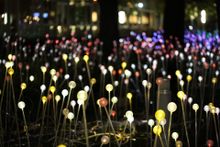 Discovery Green_Field of Light_2014.