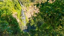 Morans Falls Waterfall - Lamington National Park