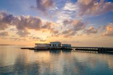 Feeling Koi at Amilla Fushi