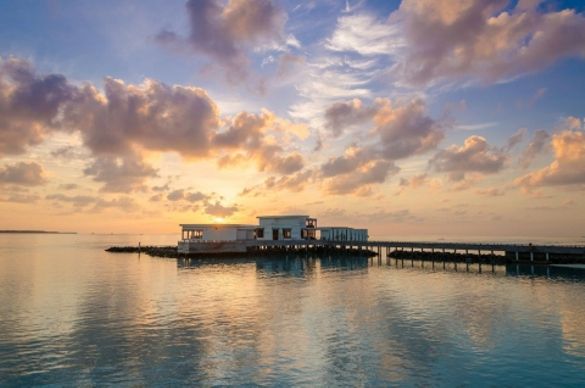 Feeling Koi at Amilla Fushi Feeling Koi at Amilla Fushi