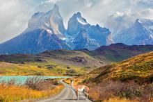 Torres del Paine