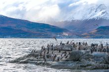 Beagle Channel, small ship cruising