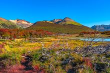 Tierra del Fuego autumnal colours