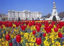 Buckingham Palace