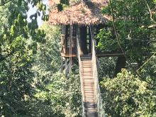 The Jungle Tree House at the end of the Canopy Walk at Inkaterra Reserva Amazonica, Peru
