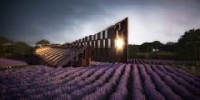 voco Yarra Valley