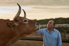 Jose Gordon of El Capricho in Spain - (with his beef exclusively available in Hong Kong @ THE STEAK HOUSE winebar + grill