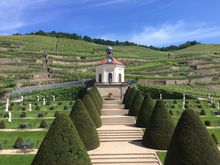 Schloss Wackerbarth vineyard