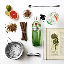 Tanqueray Gin Masterclass 