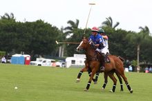 Gay Polo League