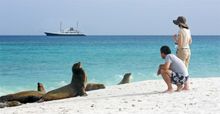 IE Galapagos guests encounter friendly sea lions of a remote beach. 