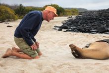 IE guests share the beach with sea lions and other exotic wildlife. 
