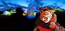 Christmas at London Zoo New for 2018