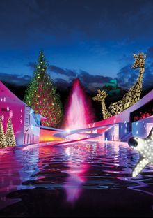 Christmas at London Zoo New for 2018