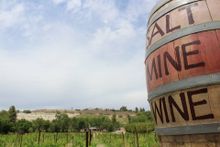 Salt Mine Wine 