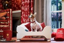 Milly, the mascot of The Egerton House Hotel in London, UK